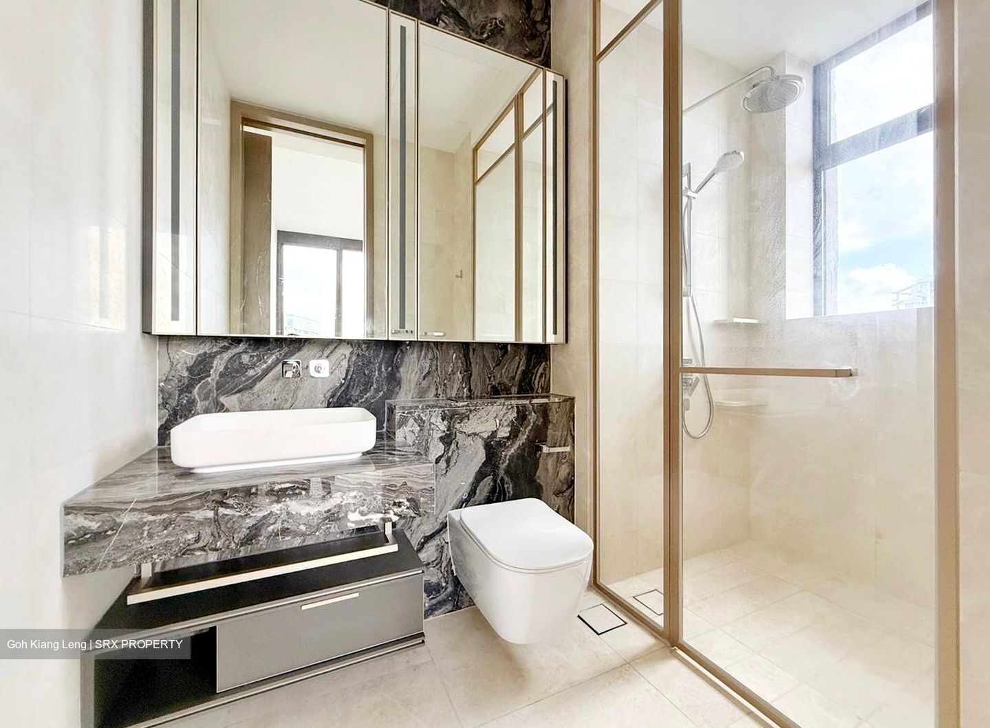The Avenir (D9), Condominium #548493831